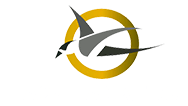 welcome to a2z packers